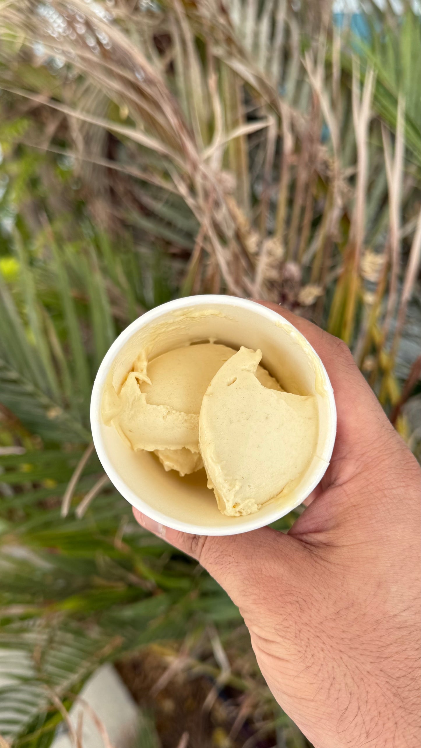 Ruttab Gelato